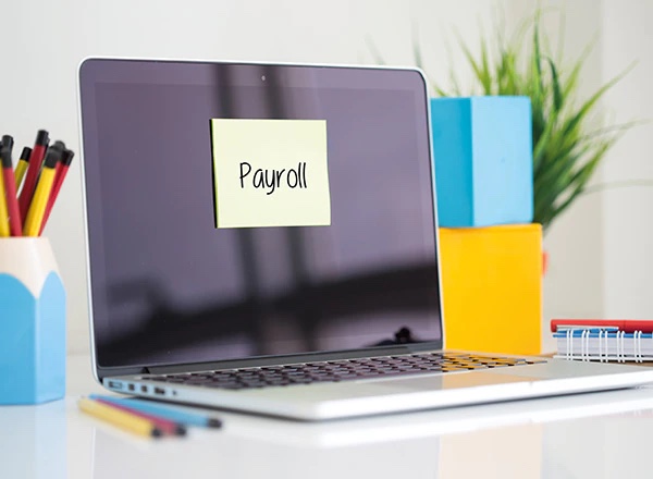 payroll-ledger-template